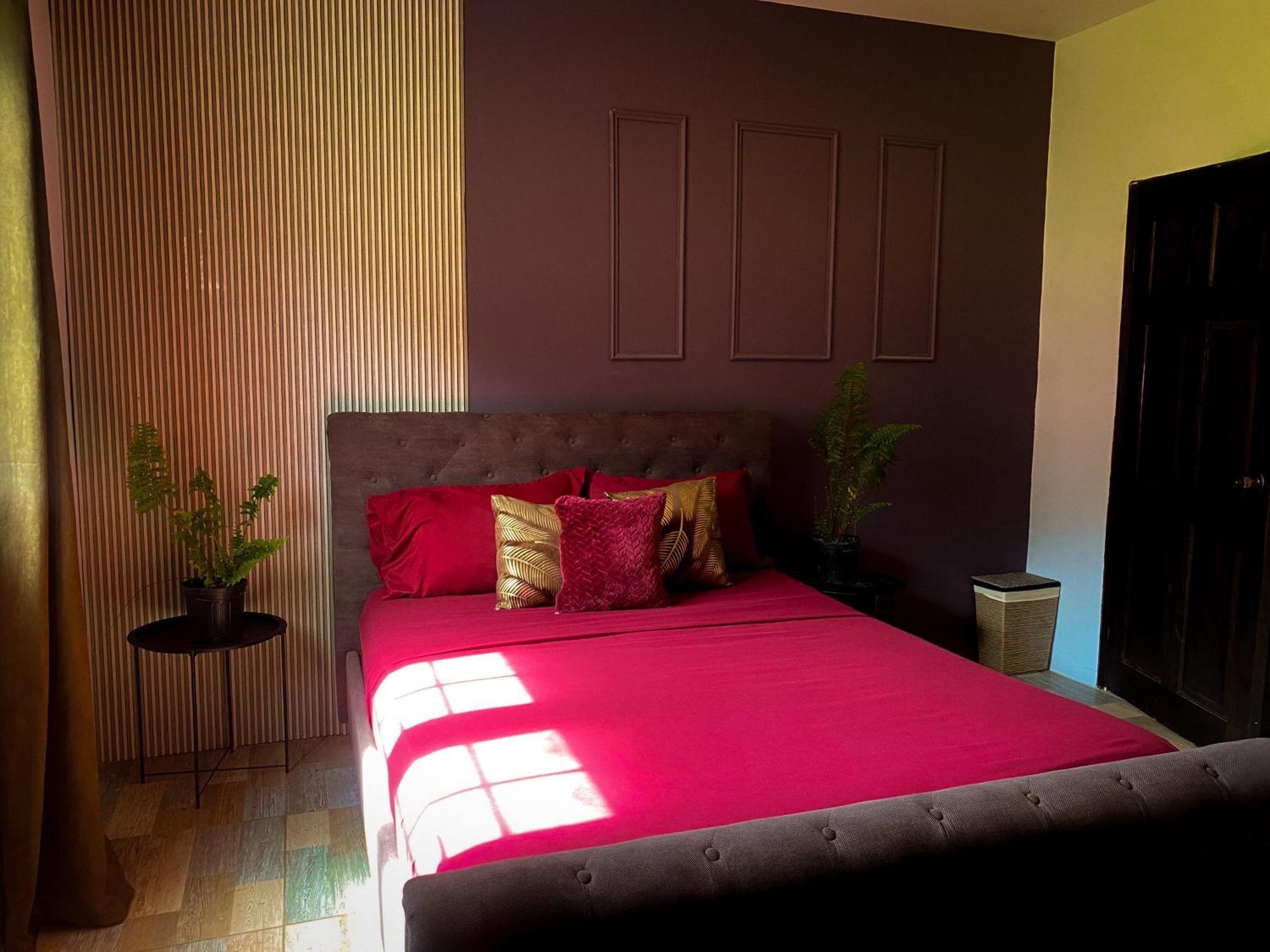 Отель House Of Zen Santa Cruz Экстерьер фото